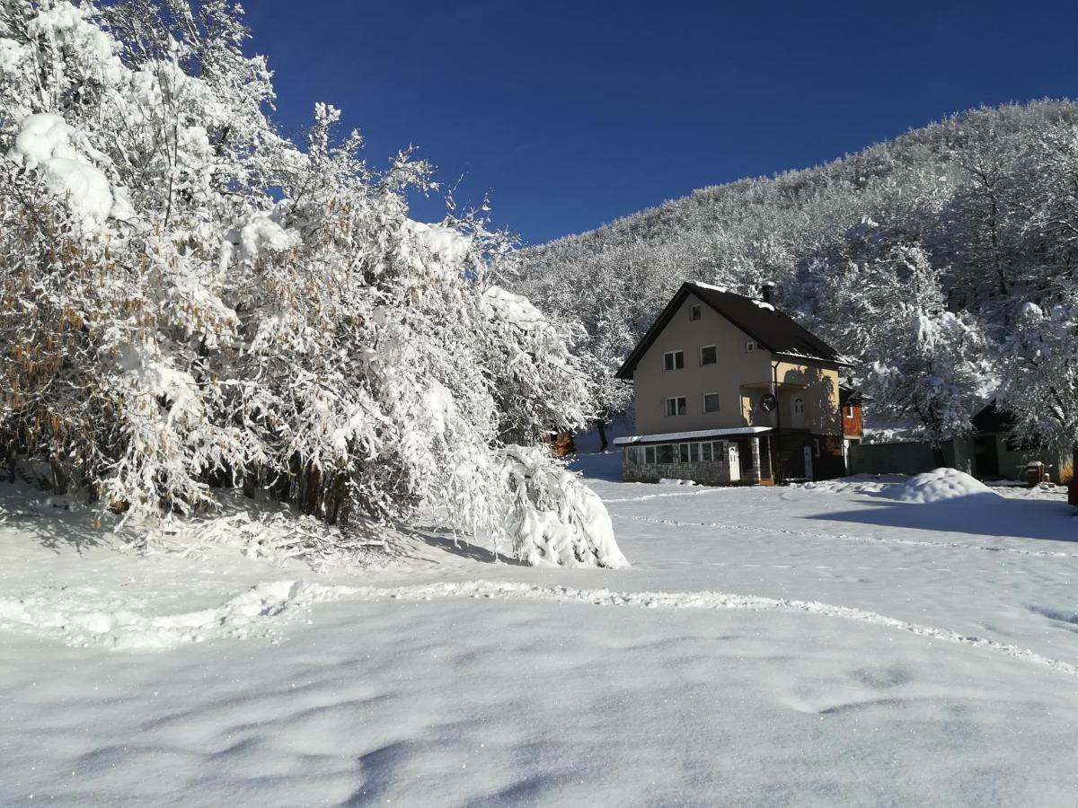 Rafting Camp Apartments Montenegro Goran Lekovic Žabljak Extérieur photo