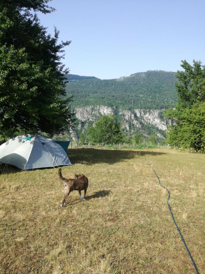 Rafting Camp Apartments Montenegro Goran Lekovic Žabljak Extérieur photo