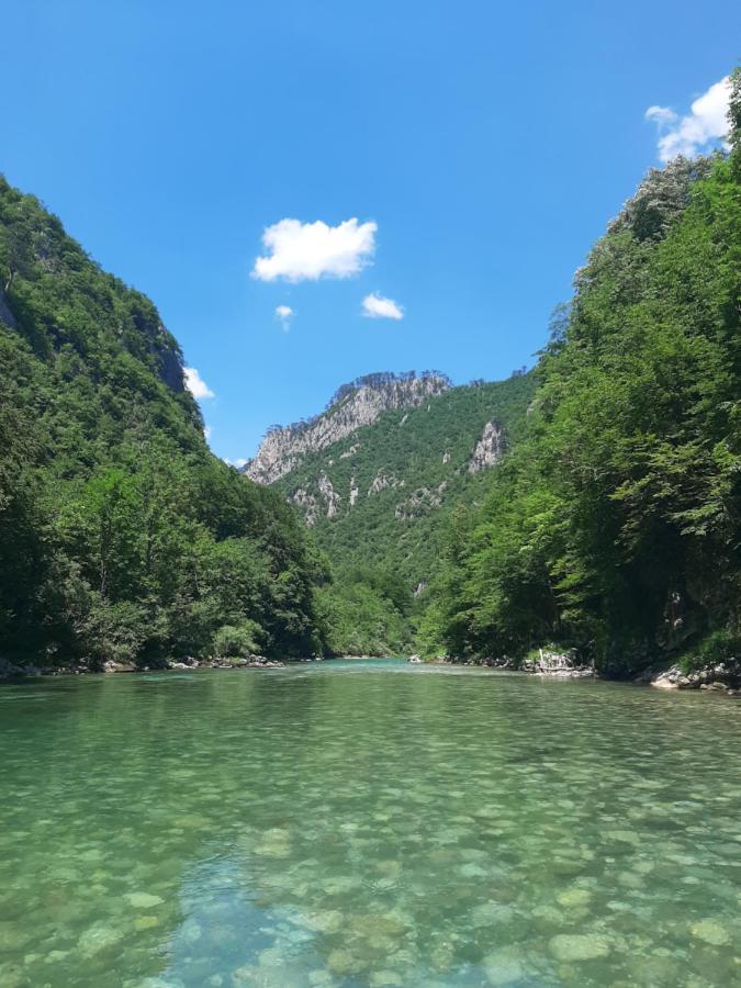 Rafting Camp Apartments Montenegro Goran Lekovic Žabljak Extérieur photo